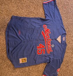 Pedro Martinez Montreal MLB jersey