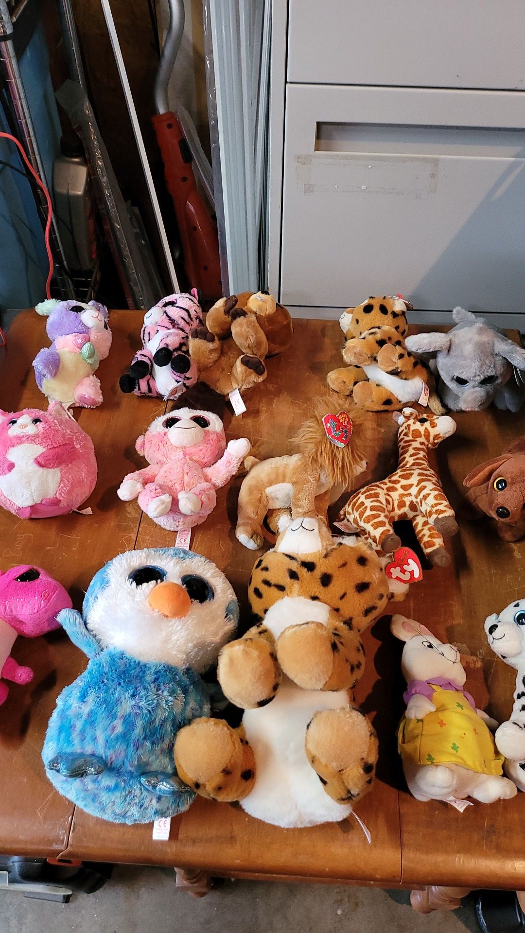 15 ty beanie babies all for $15