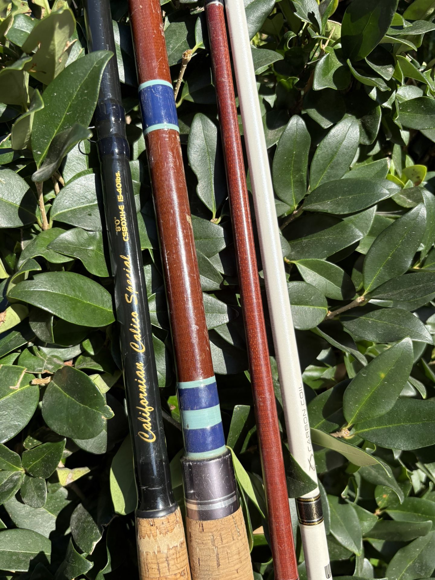 Fishing Rods 