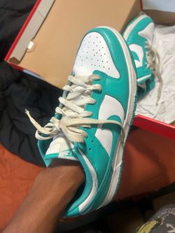 Nike dunks size 11
