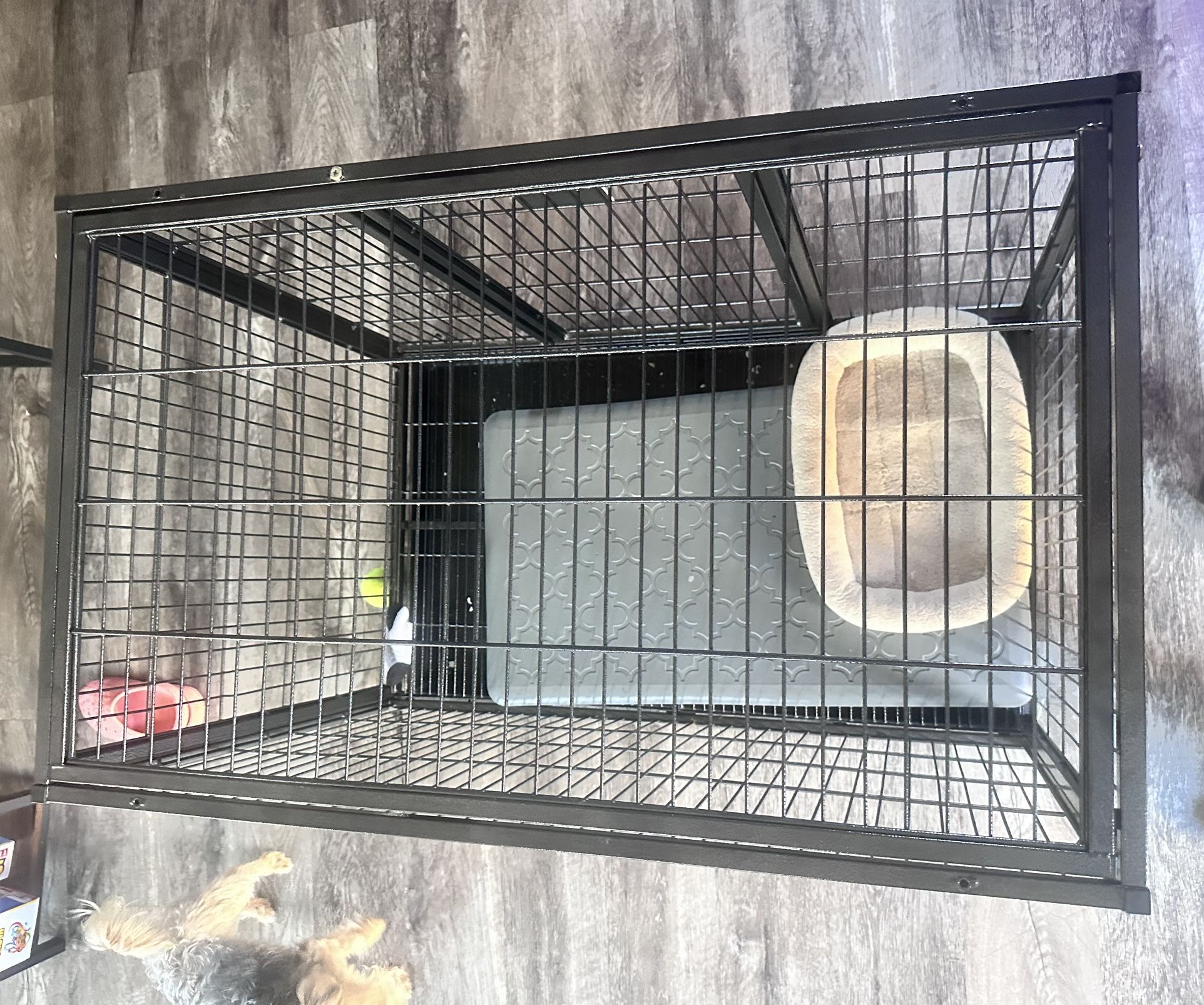 Dog Cage