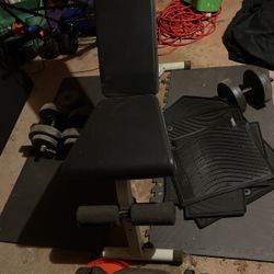 Weight Bench
