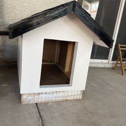 Dog House 