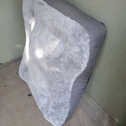 Big Dog Bed