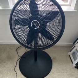 Fan