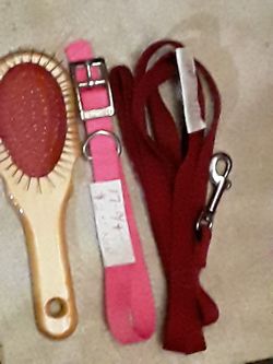 Collar leash and brush