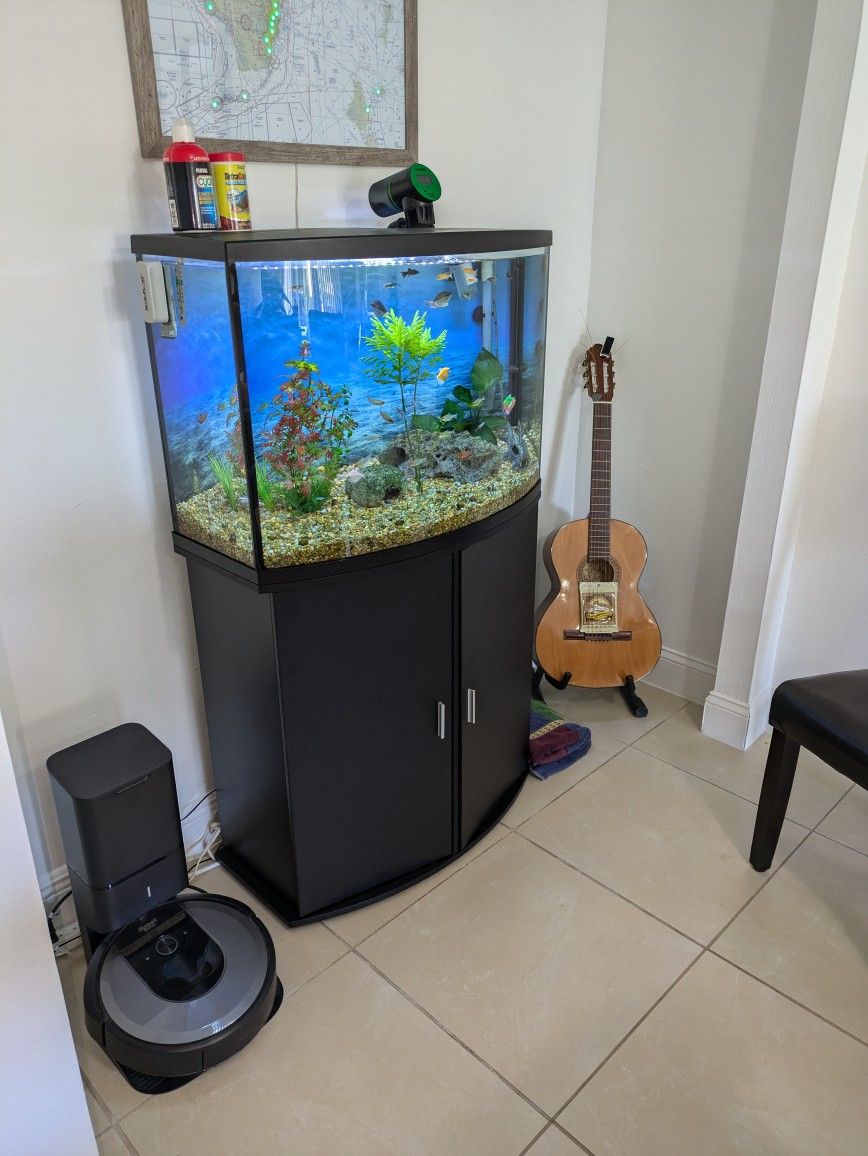 Complete Freshwater Tropical Fish Set Up