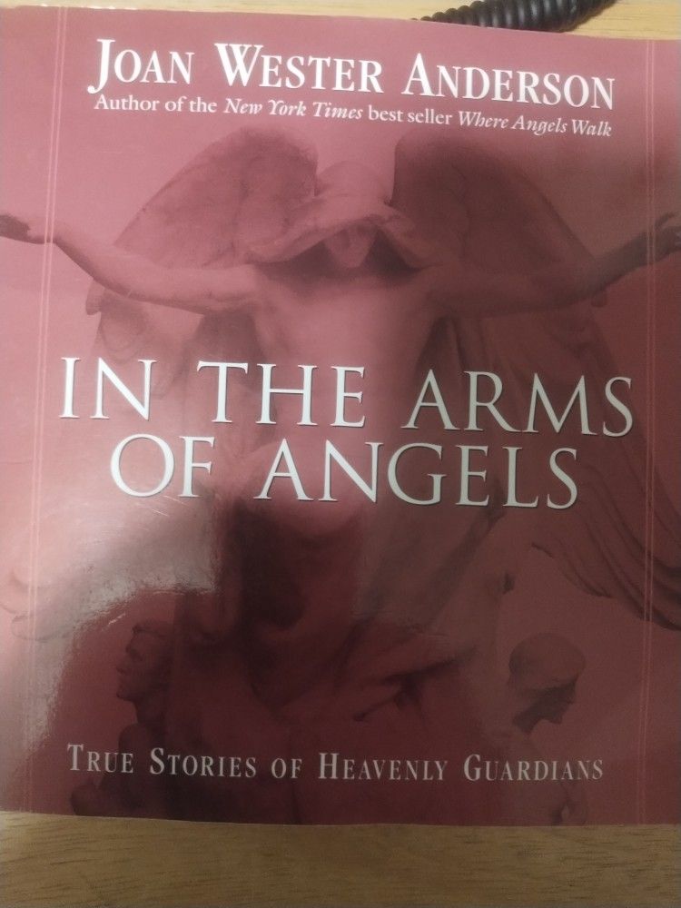 In The Arms Of Angels By Joan Webster Anderson
