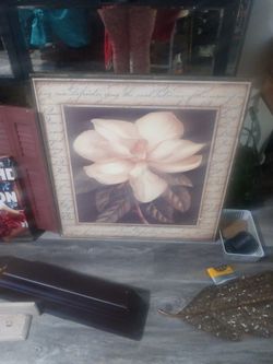 Flower Picture Large Lotus 