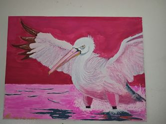 Pelican landing