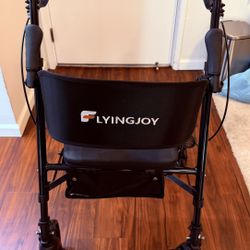 Companion Chair/Walker Combination 