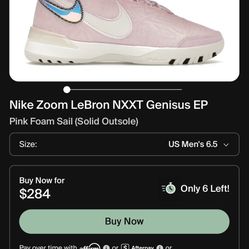 LeBron Nikes Men’s Size 10.5 Pink 