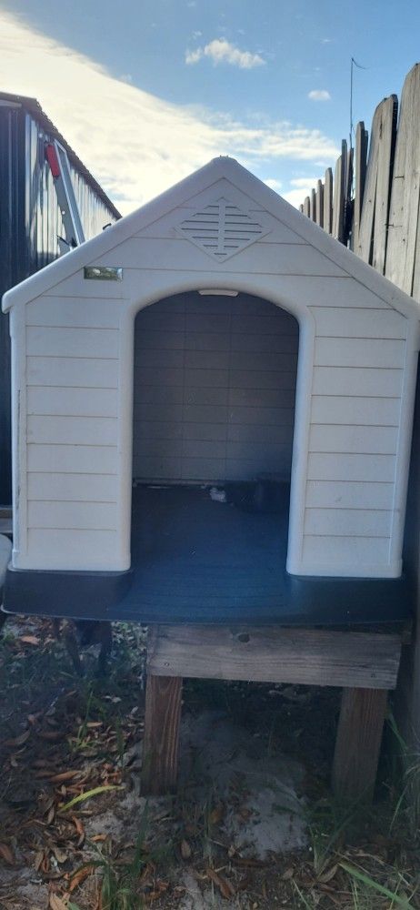Dog House