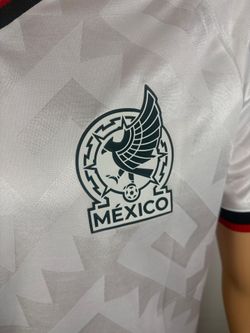 México fútbol, blanca copa mundial