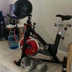 Sunny Exercise Bike And 20lb P90x Medicine Ball
