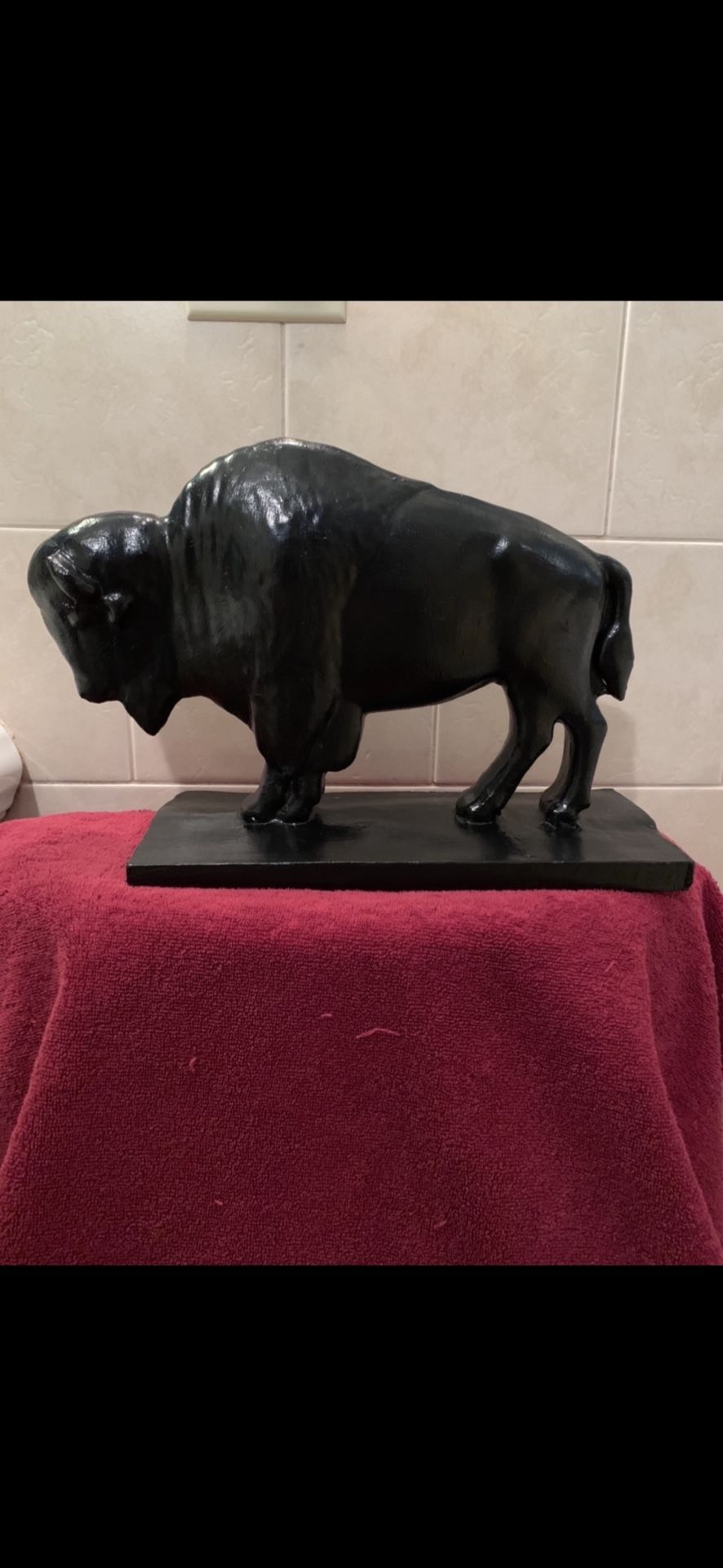 The Silhouette Buffalo