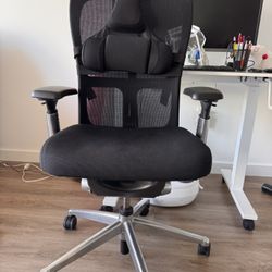 Computer Chair - Adjustable 