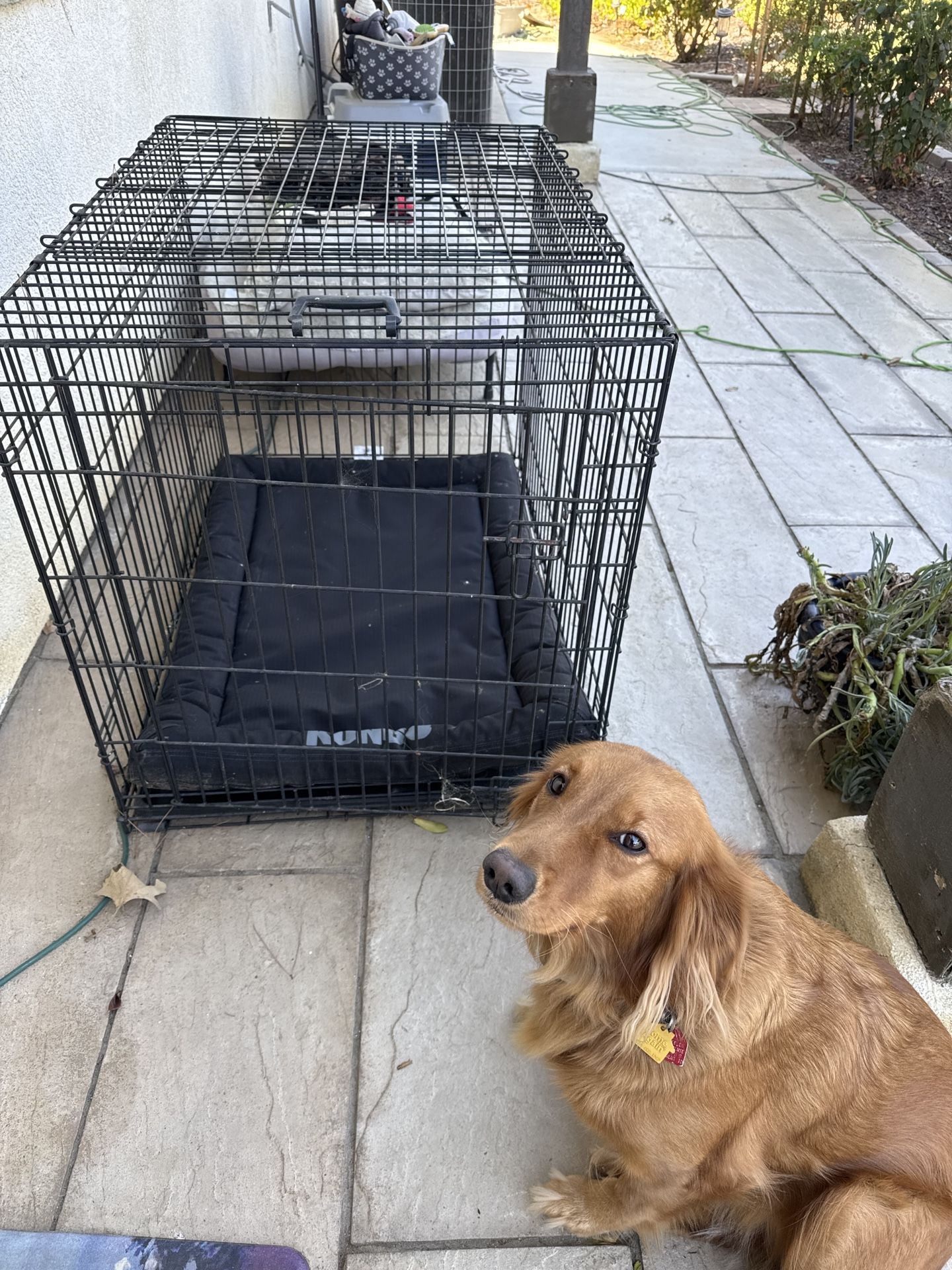 Dog Kennel Crate With Quality Comfort Pad