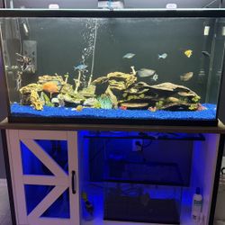 55 Gallon Aquarium 