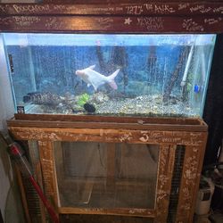 Fish Tank & Stand Encloser