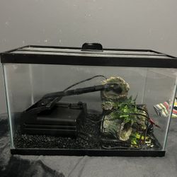 FISH TANK
