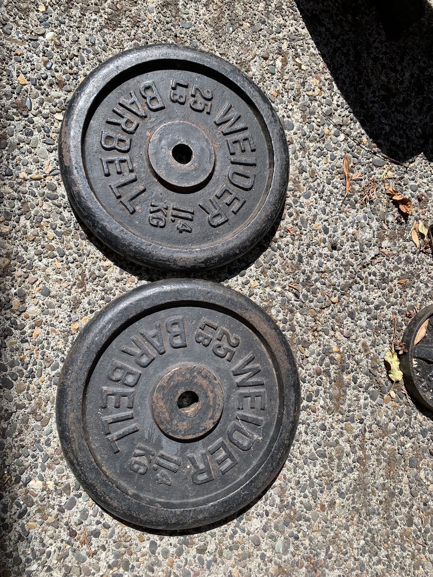 Two 25 Lbs Standard Weight Plates