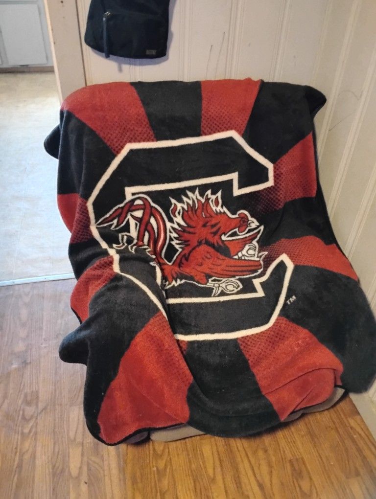 Lazy boy Recliner