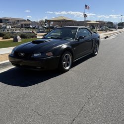 2004 mustang GT