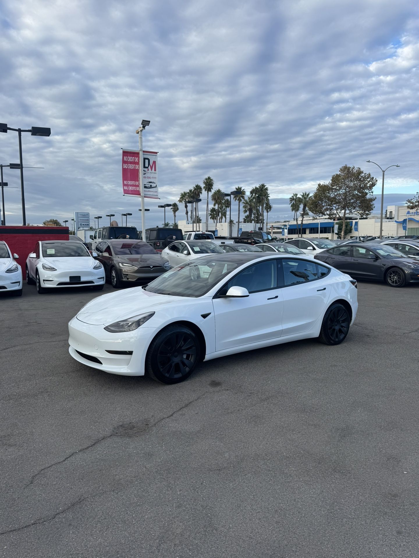 2023 Tesla Model 3