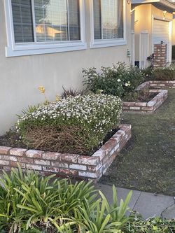 Brick Planter