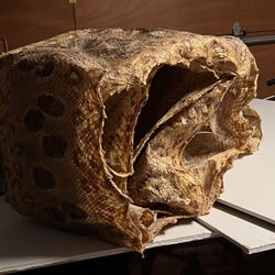 ~20 Foot Anaconda Skin (snake Skin)