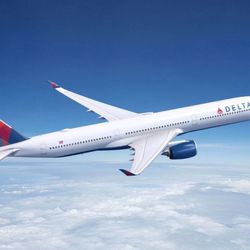 Delta Companion Certificate - BOGO FREE flight!