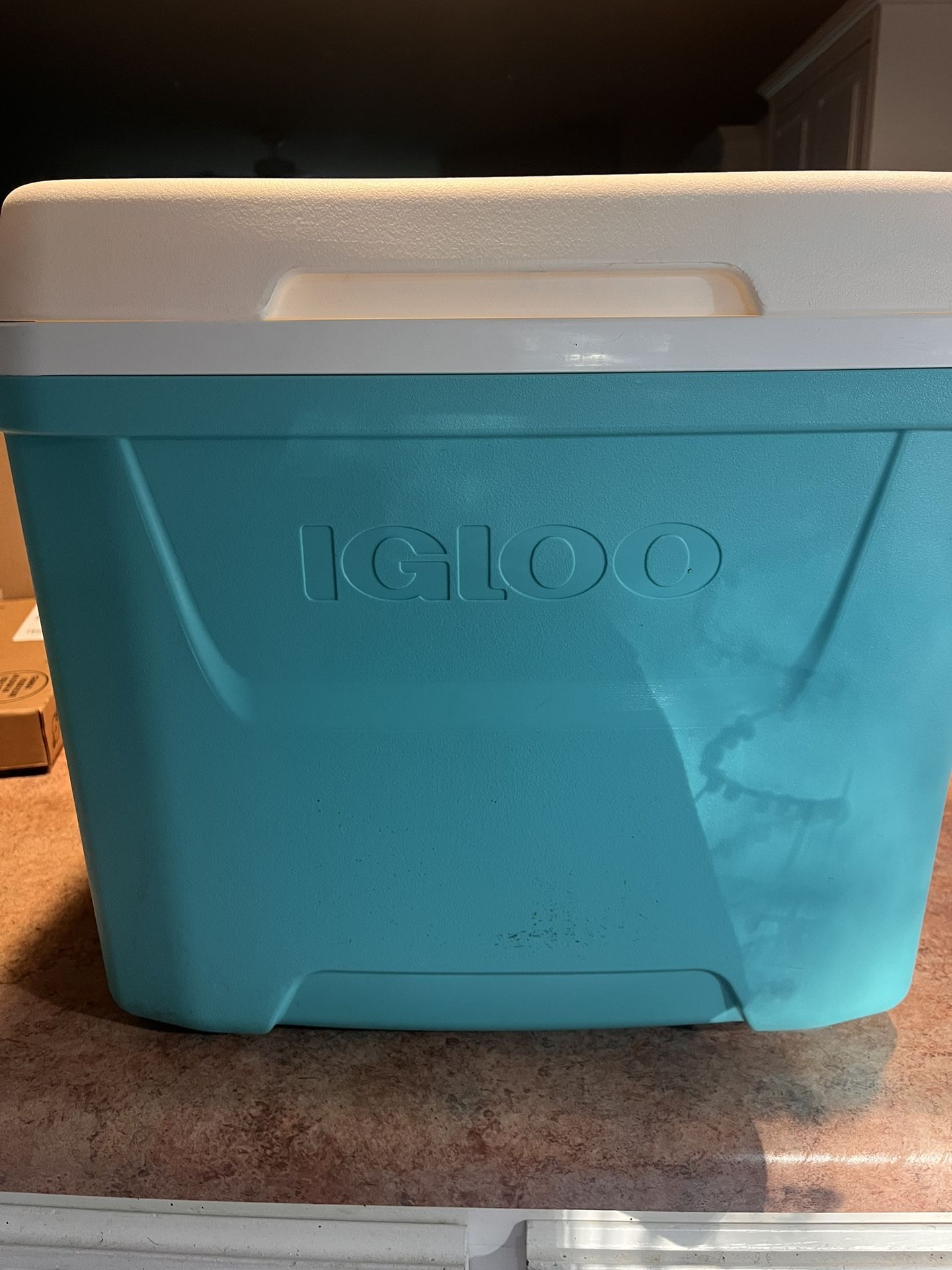 Igloo Cooler