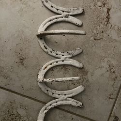 Horseshoe Coat hanger 