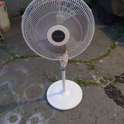 Pedestal Fan