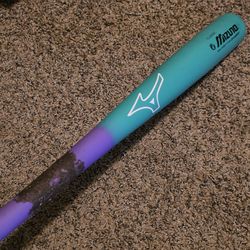 Mizuno bamboo bat