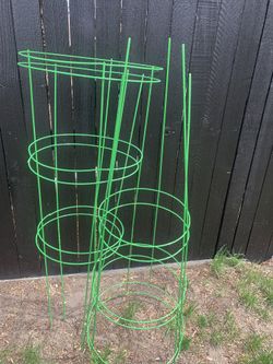 Tomato Support Cage