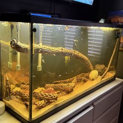 55 Gallon Glass tank with hood Bright White LED