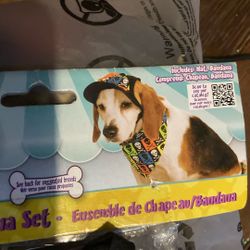 Halloween outfit size medium, large dog