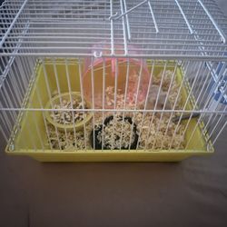 Small Hamster And Cage 