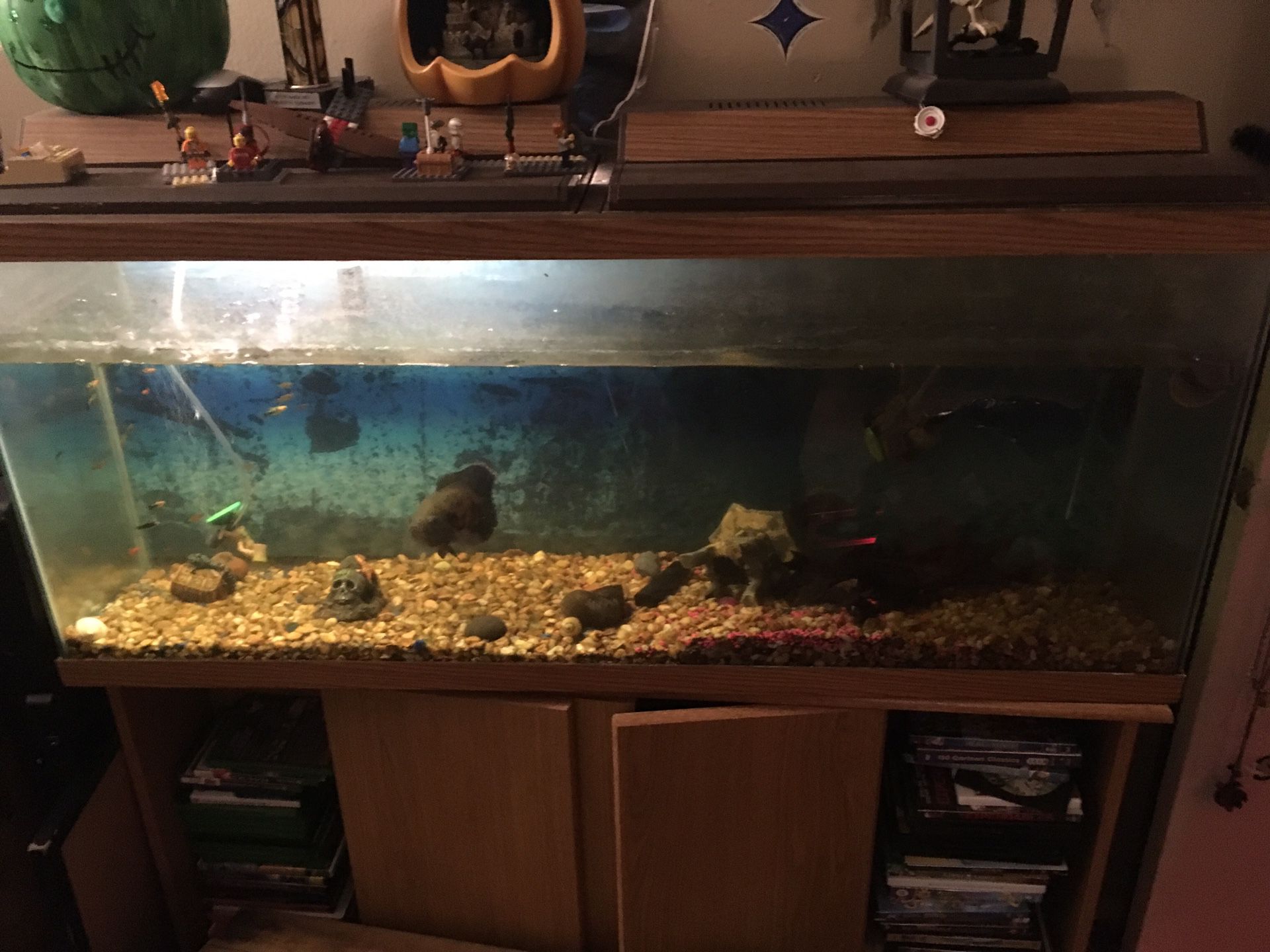 55gal tank with stand