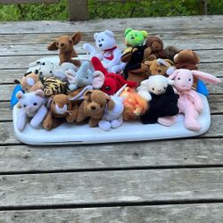 TY Beanie Babies 