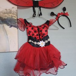 Costume For Toddler Lady Bug $25 New