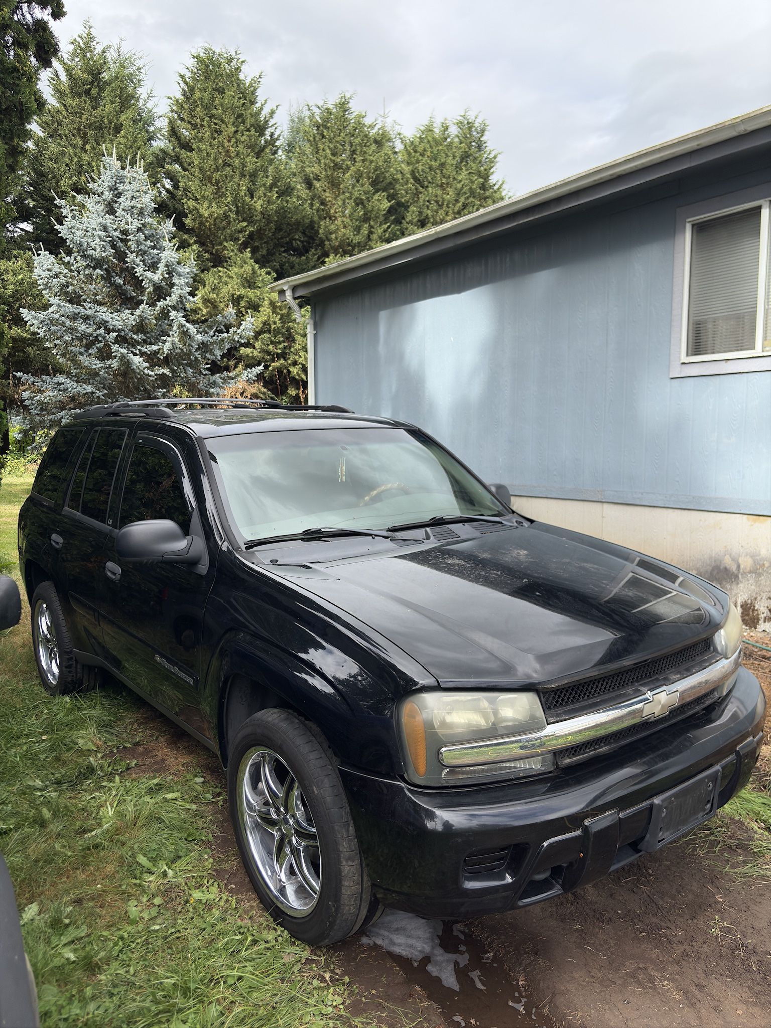 2002 Chevrolet Trailblazer