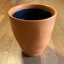 Plant Pot And Free Spiderette