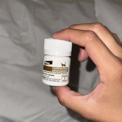 Cat Deworming Pills
