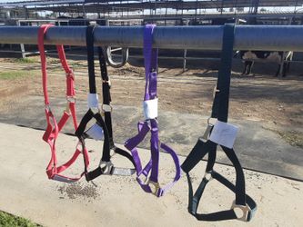Beautifully Blinged Light Weight Halters