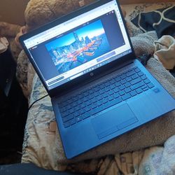 Hp Laptop