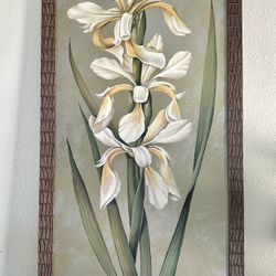 Botanical Framed Art