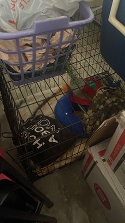 Dog carrier